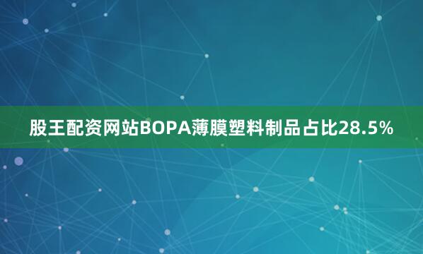 股王配资网站BOPA薄膜塑料制品占比28.5%