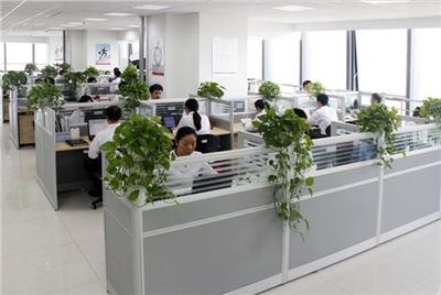 山東正舟 濱州網(wǎng)站制作的專(zhuān)業(yè)技術(shù)咨詢(xún)與方案制定