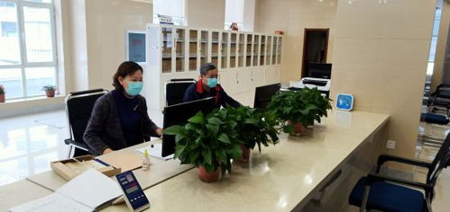 通化市檔案館 疫情防控與檔案利用服務兩不誤，檔案整理服務賦能便民